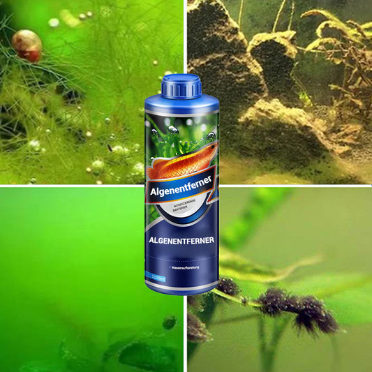 🔥HOT SALE (30% OFF)🔥 Crazy Waterweed Algae King Algae Remover