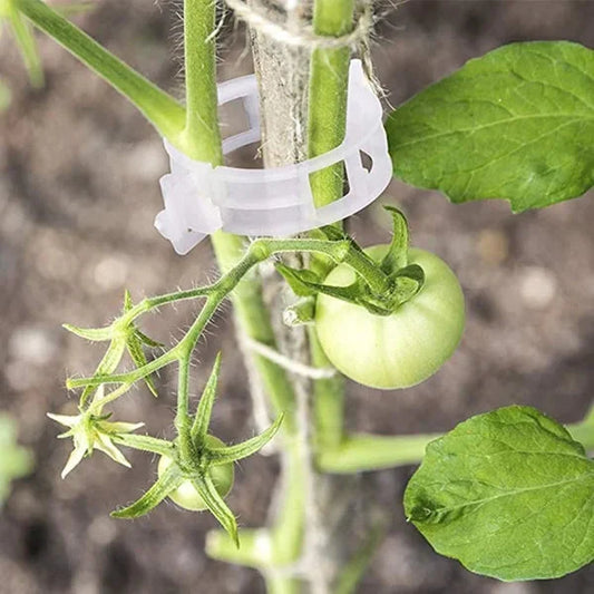 Støtteclips til planter